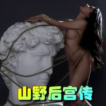 山野后宫传